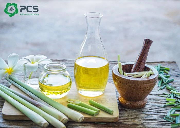 tinh dầu sả có đuổi được gián không